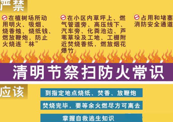 安全教育 (05).jpg