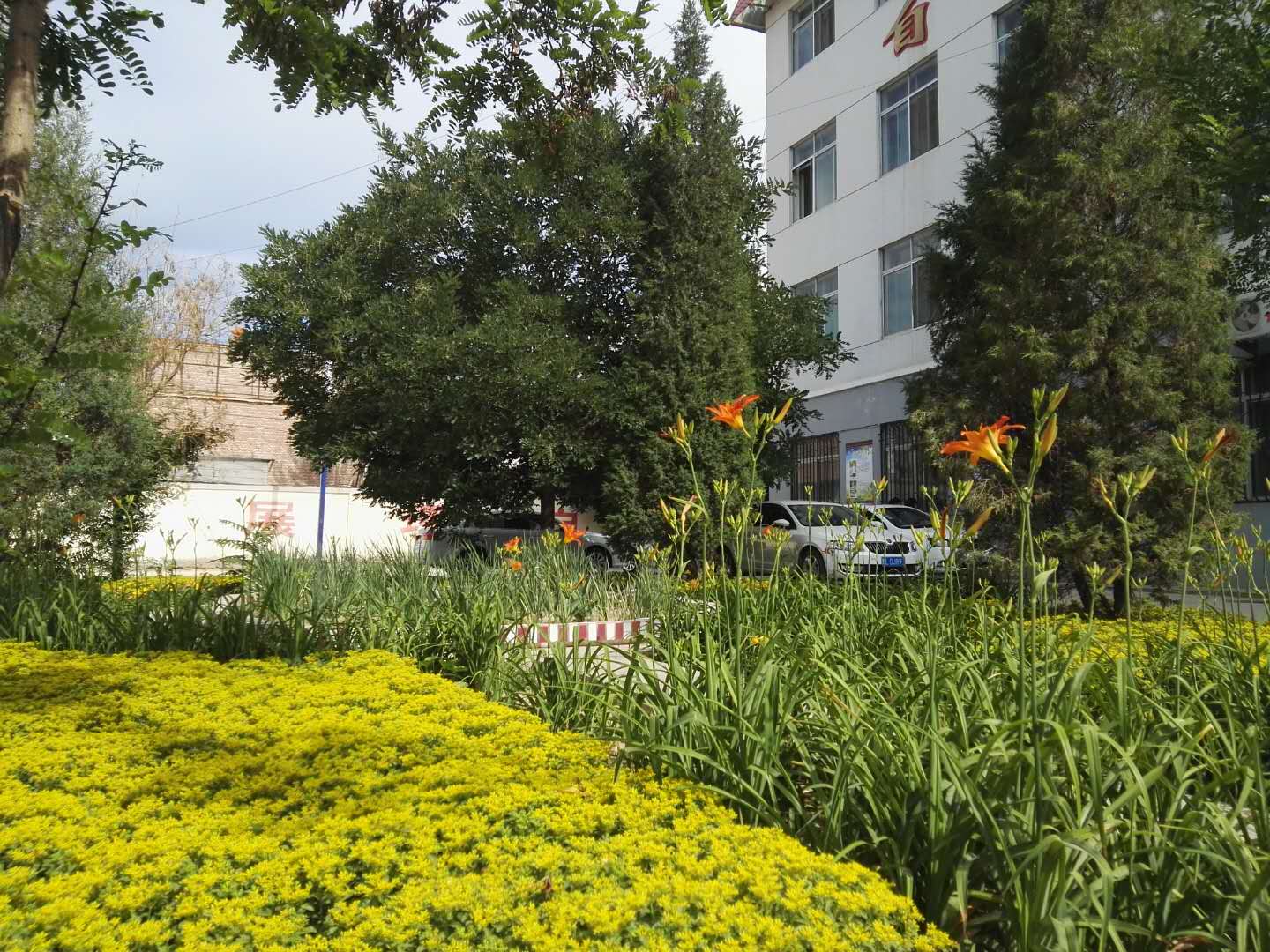 校园景色1.jpg