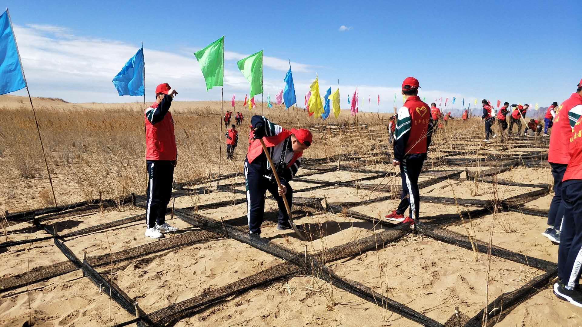 微信图片_201904121520594 - 副本.jpg