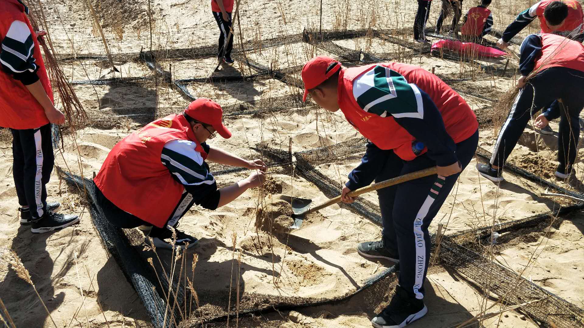 微信图片_201904121520596.jpg