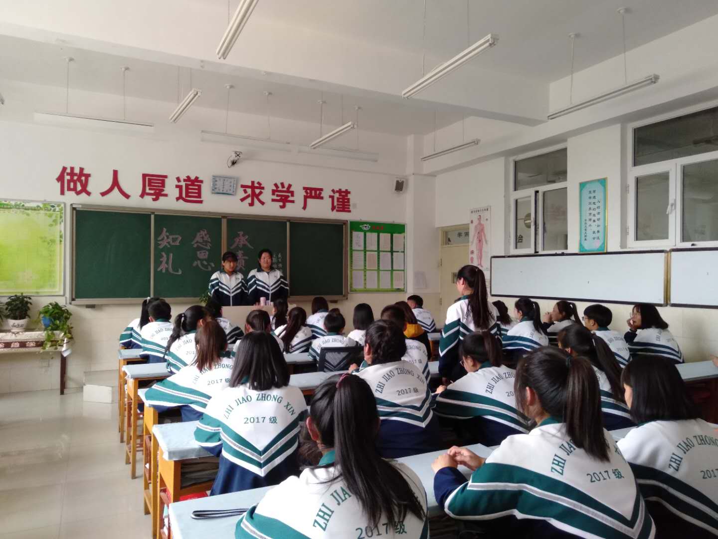 f3da480cdf3fc646341aefcda15db6b.jpg