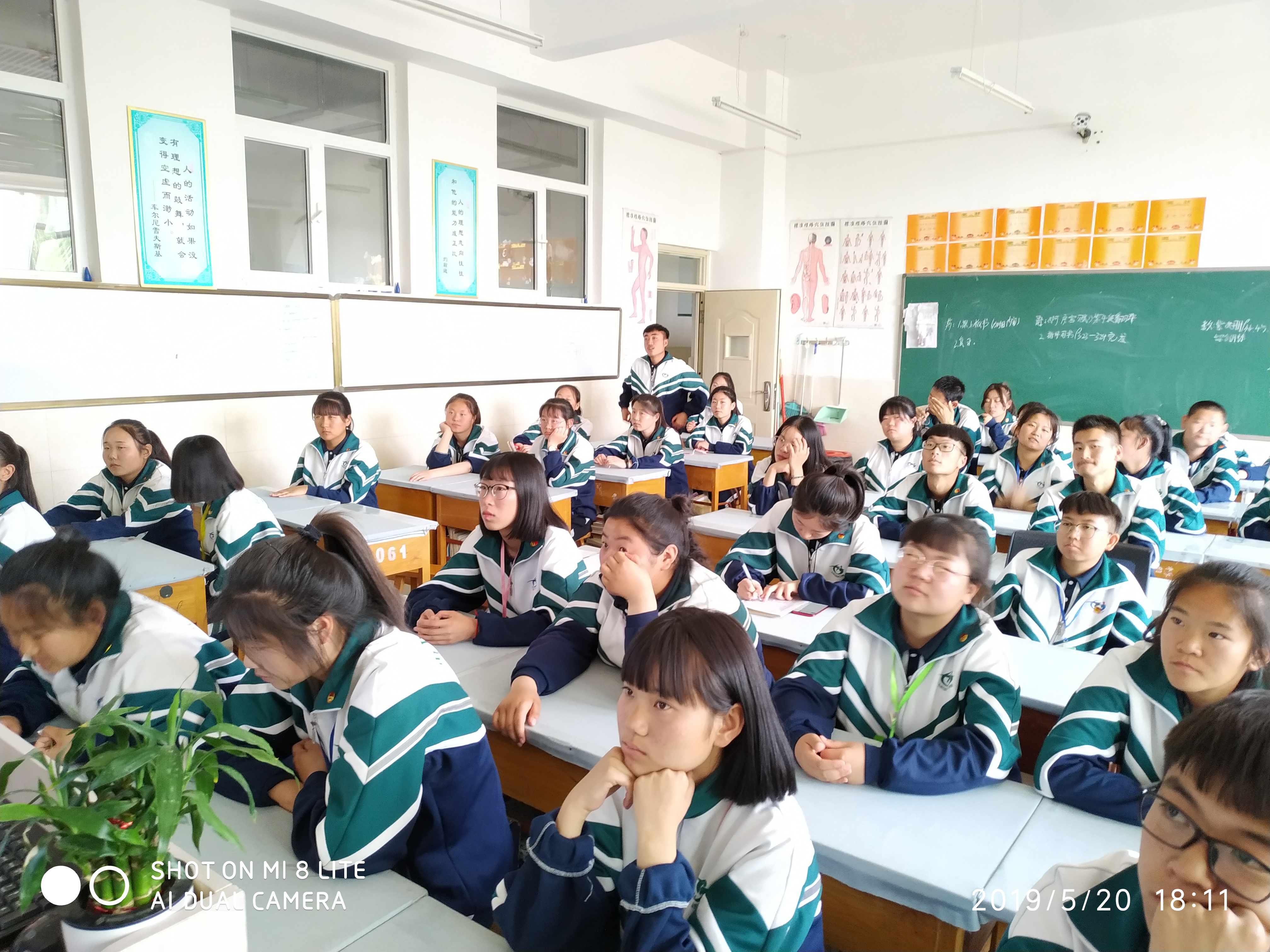 613a44cdab53f057563cd7a31878dbd.jpg