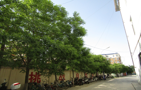 QQ图片20190527171345.png