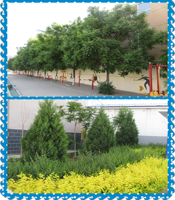QQ图片20190528165756.png