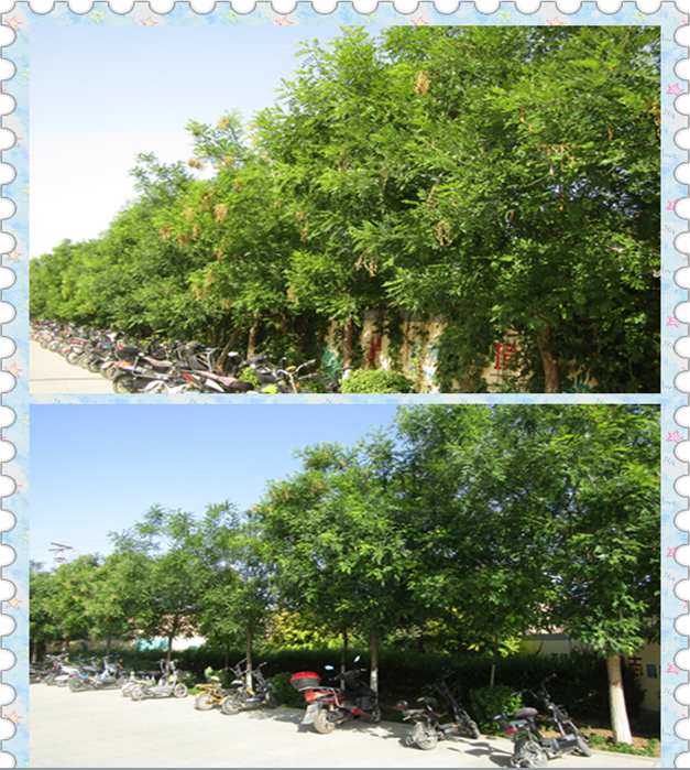 QQ图片20190528165914.png