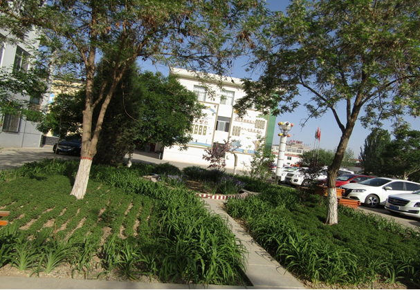 QQ图片20190528170602.png