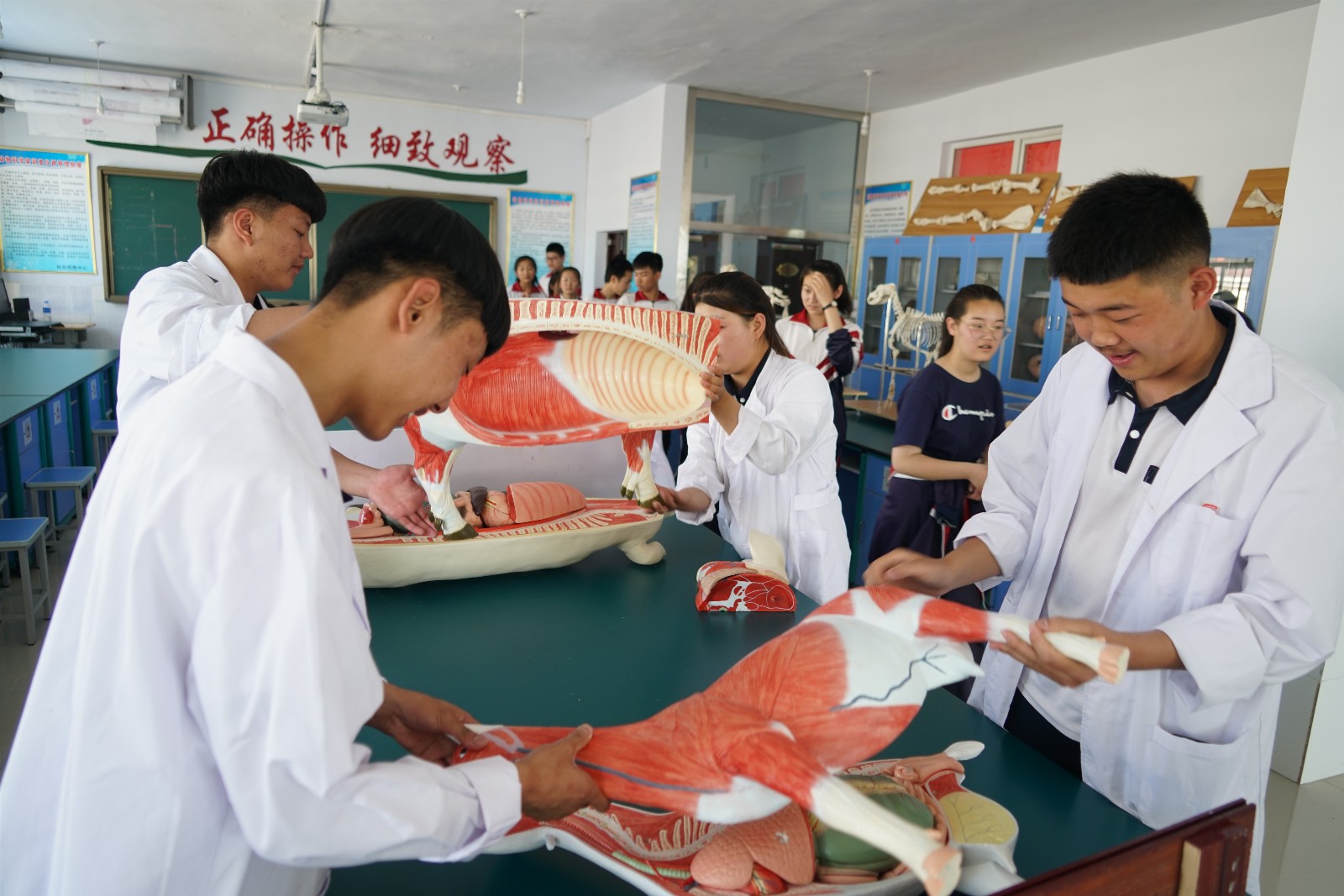 DSC05304_副本.jpg
