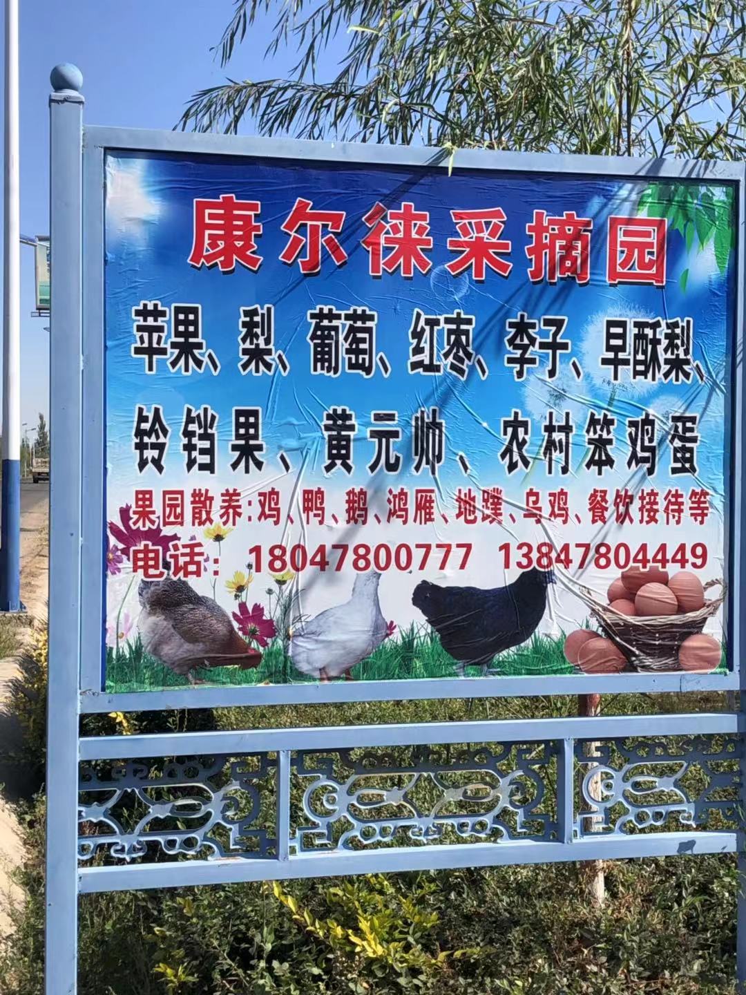 微信图片_20191008150206.jpg