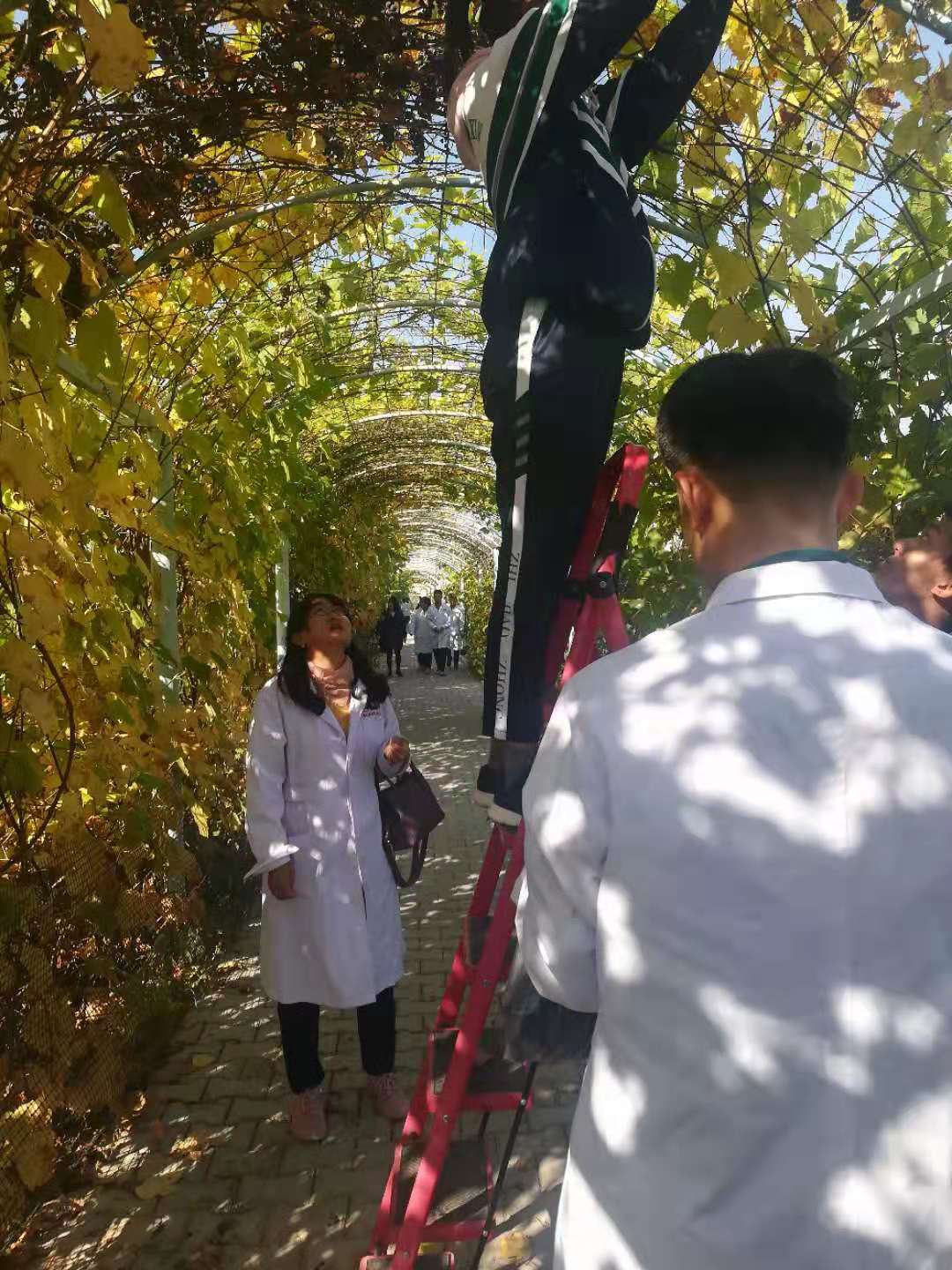 微信图片_20191008143049.jpg