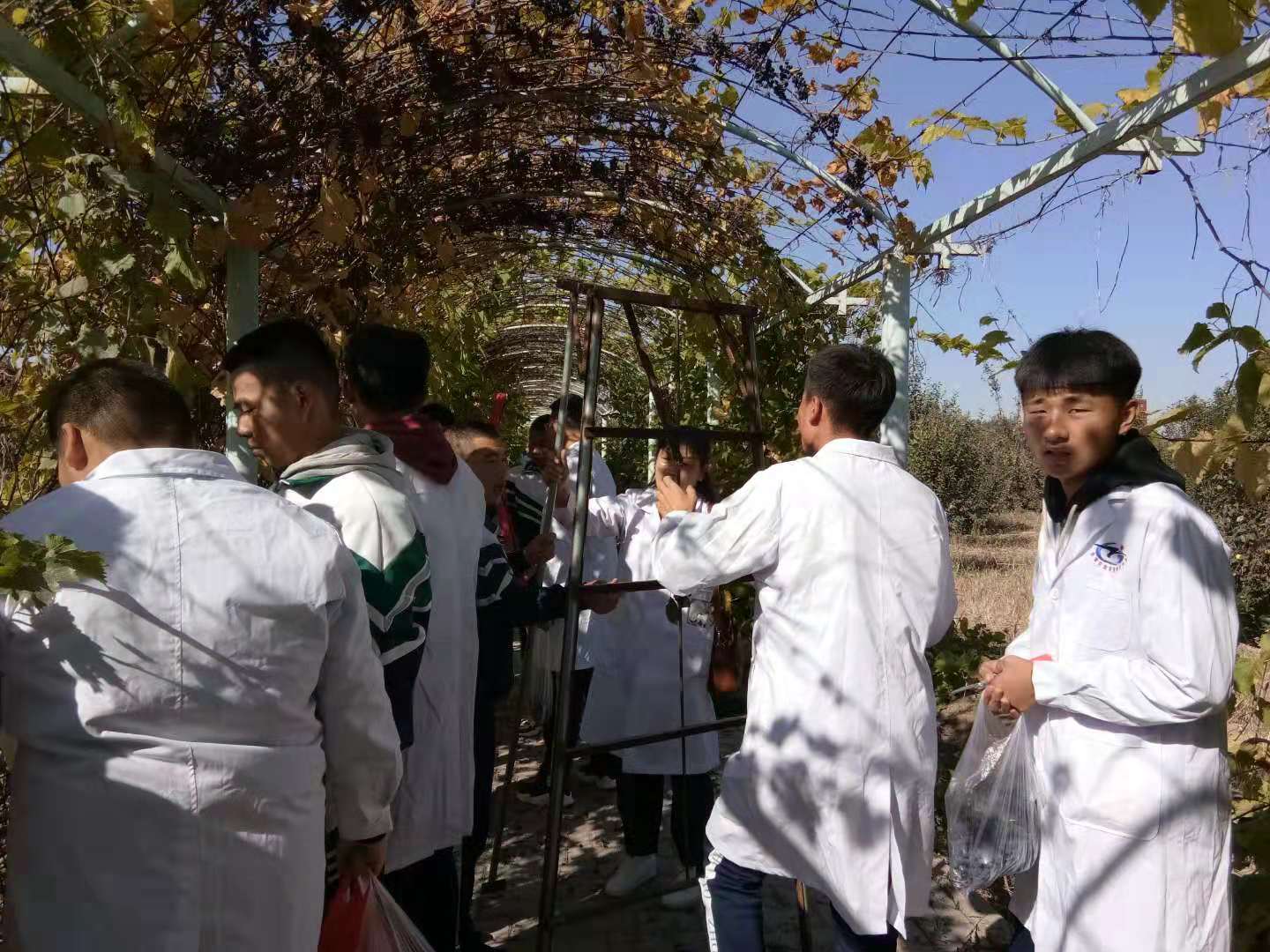 微信图片_20191012084728.jpg