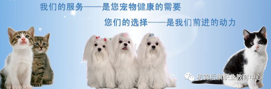 C:\Users\Administrator\Desktop\招生专业资料\微信图片_20191112151534.jpg