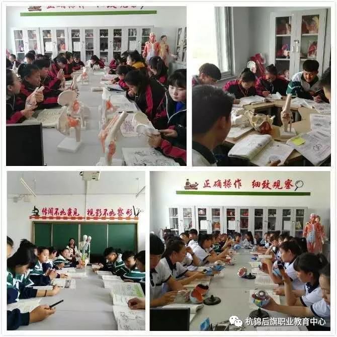 C:\Users\Administrator\Desktop\招生图片\医护\微信图片_20191122151440.jpg