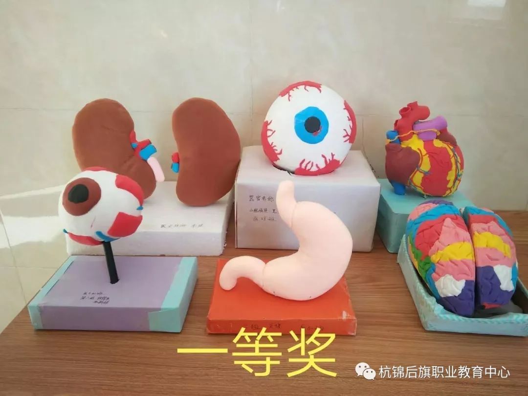 C:\Users\Administrator\Desktop\招生图片\医护\微信图片_20191122151533.jpg