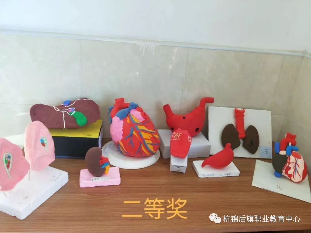 C:\Users\Administrator\Desktop\招生图片\医护\微信图片_20191122151539.jpg