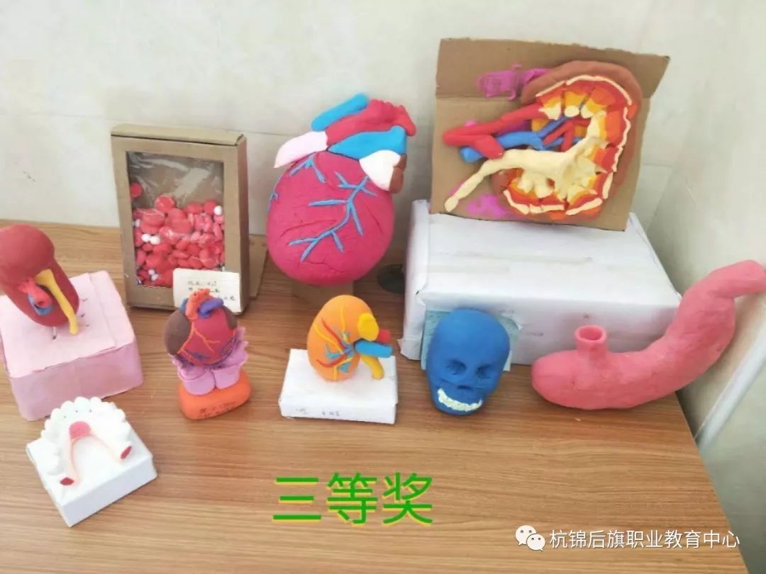 C:\Users\Administrator\Desktop\招生图片\医护\微信图片_20191122151544.jpg