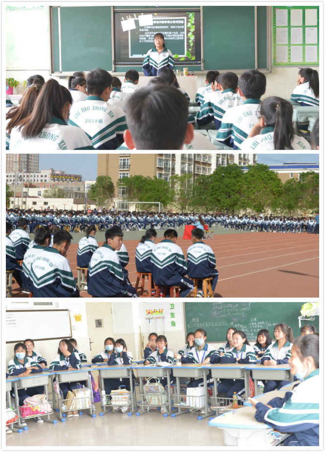 DSC_4959_meitu_1.jpg