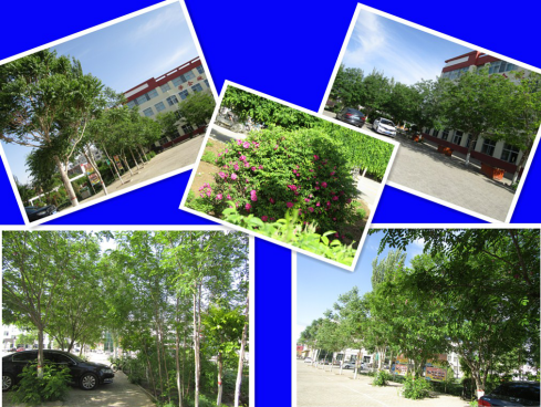 QQ图片20200525102023.png
