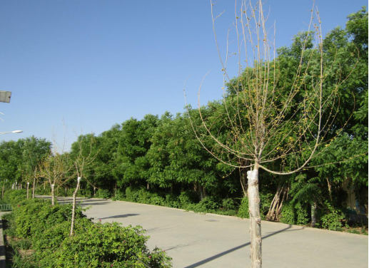 QQ图片20200525112930.png