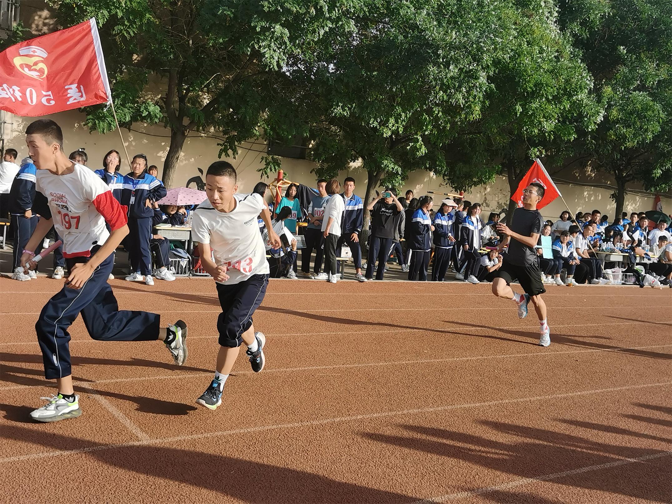 DSC06535.jpg