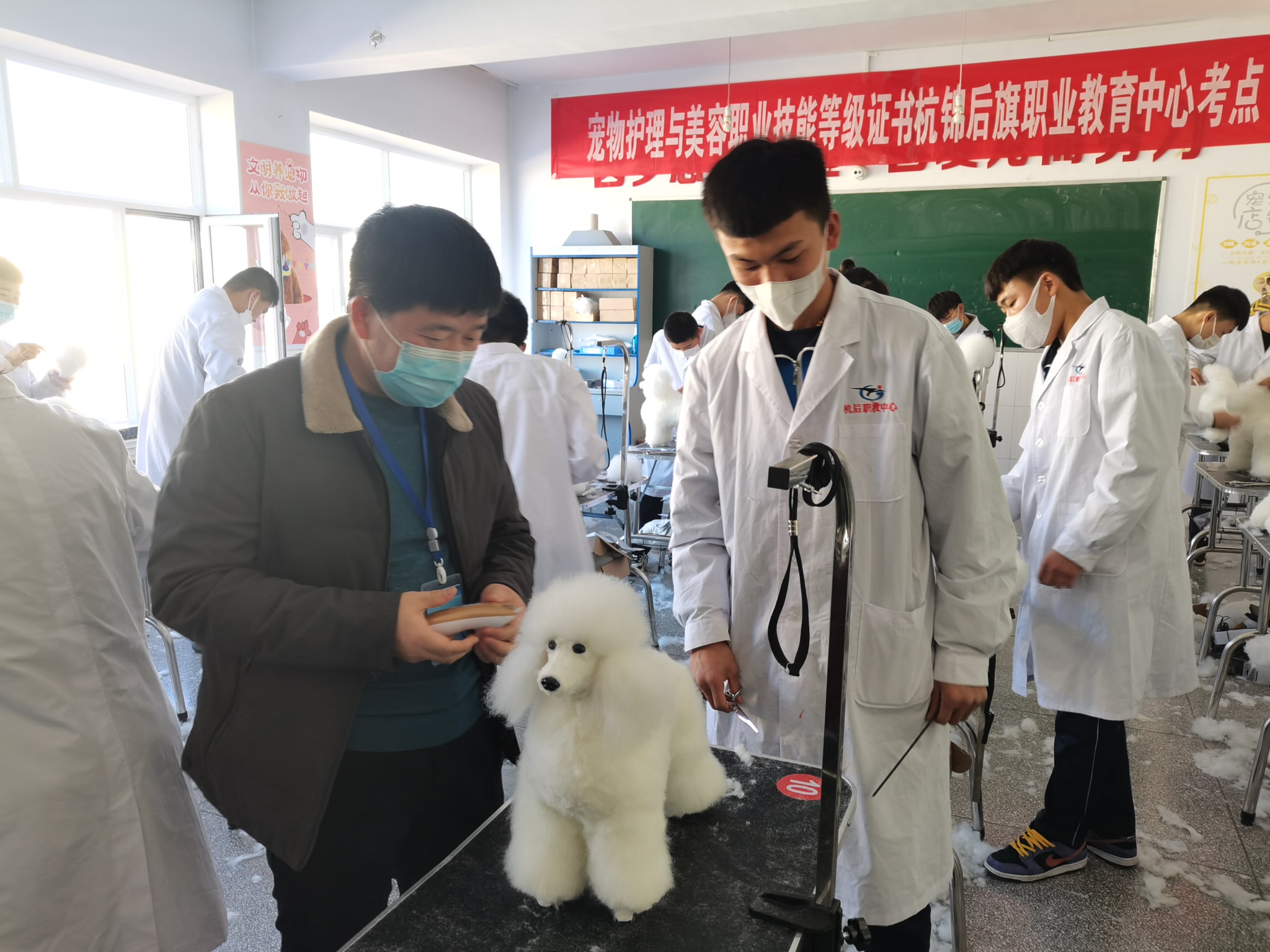E:\1+X学生信息登记表\宠物美容照片\543imi1udi6yg1depve7ixnw6_0.jpg