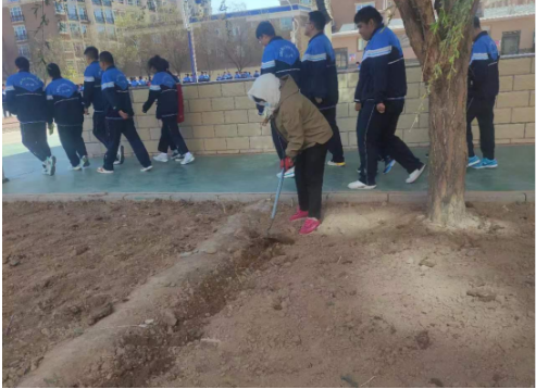 QQ图片20240426175340.png