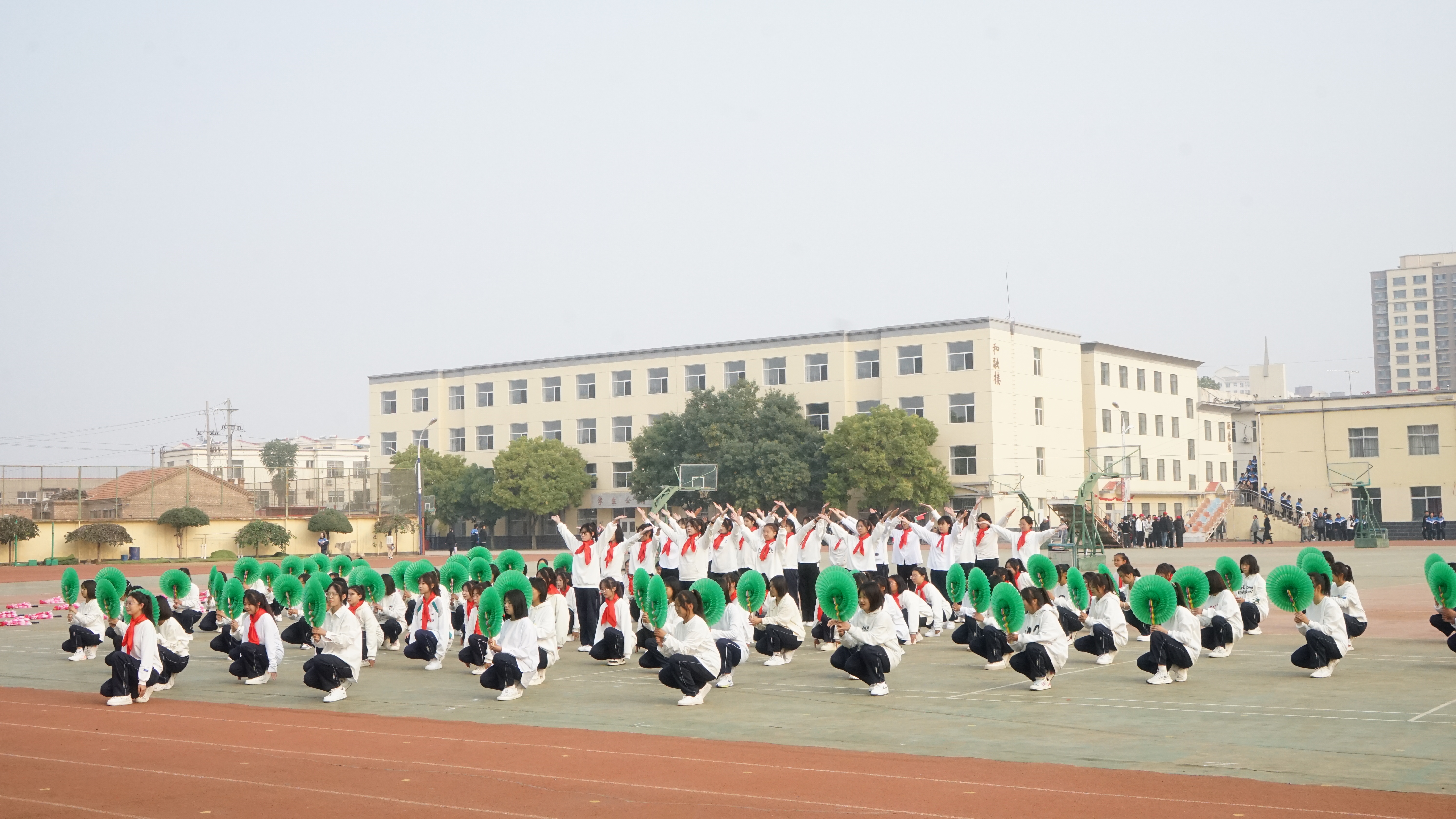 DSC04247.JPG
