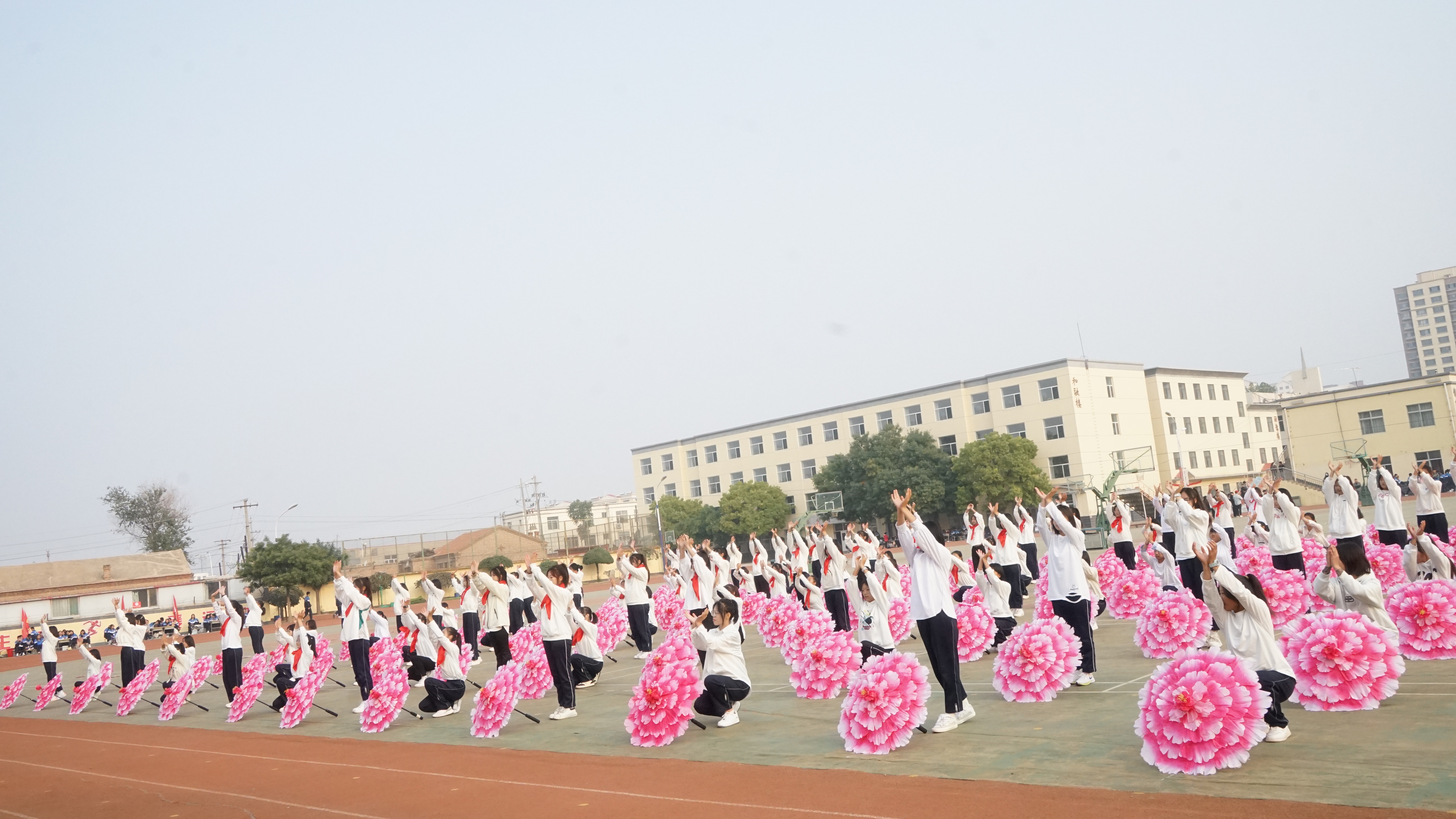 DSC04264.JPG