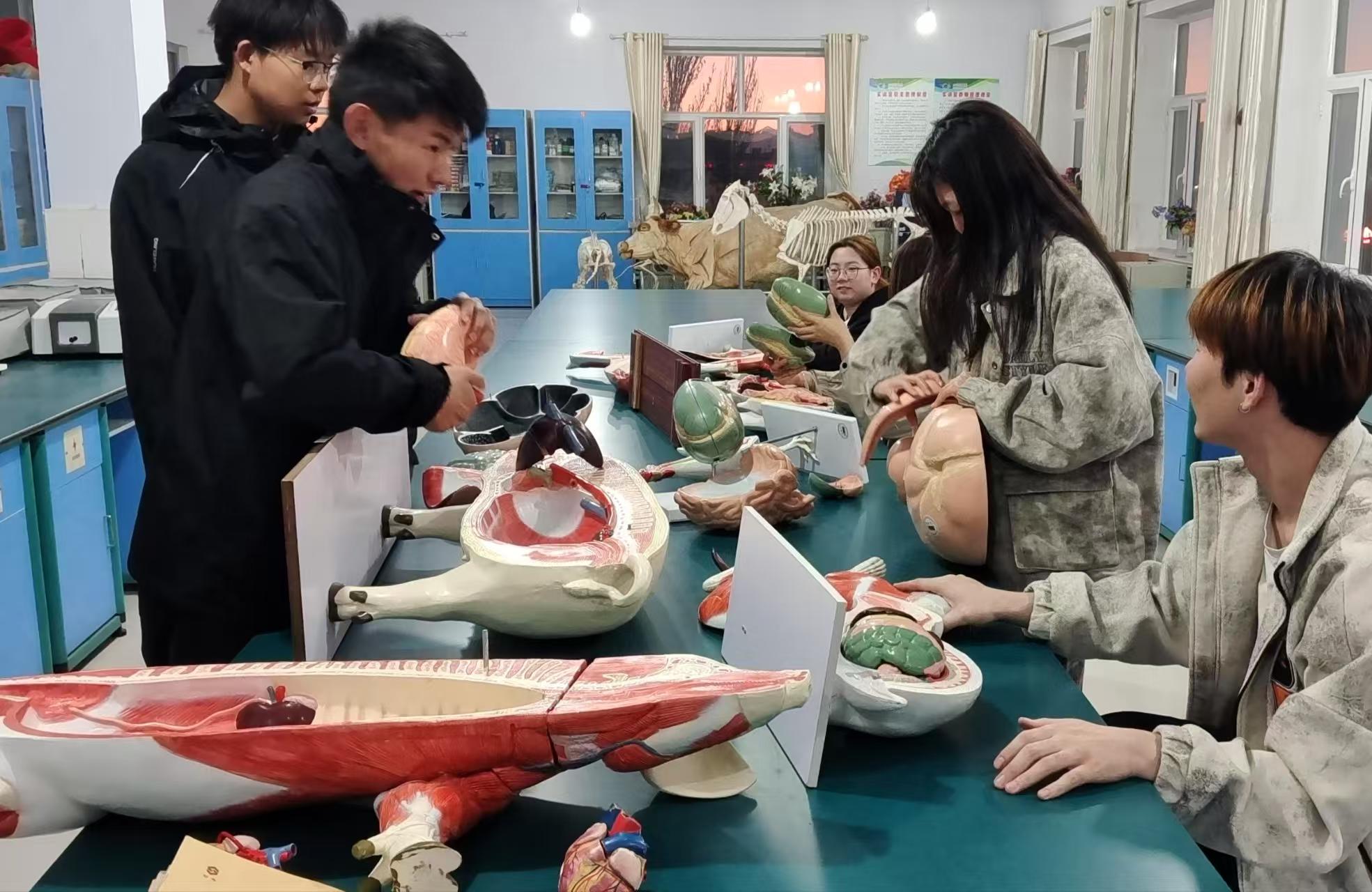 微信图片_20250331152407.jpg